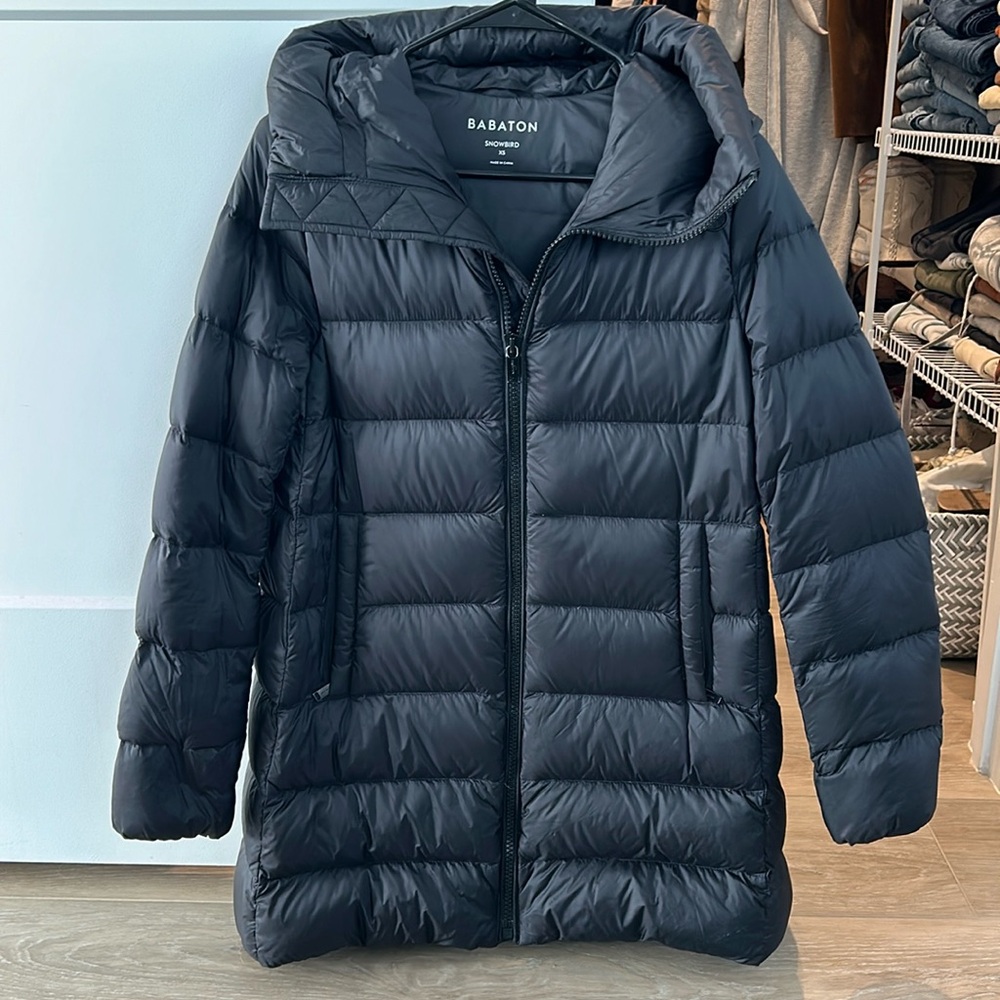 Aritzia Babaton Snowbird Puffer Jacket